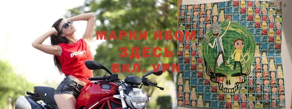 хмурый Алзамай