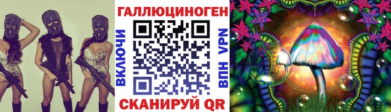 Псилоцибиновые грибы Psilocybe  kraken онион  Ядрин 